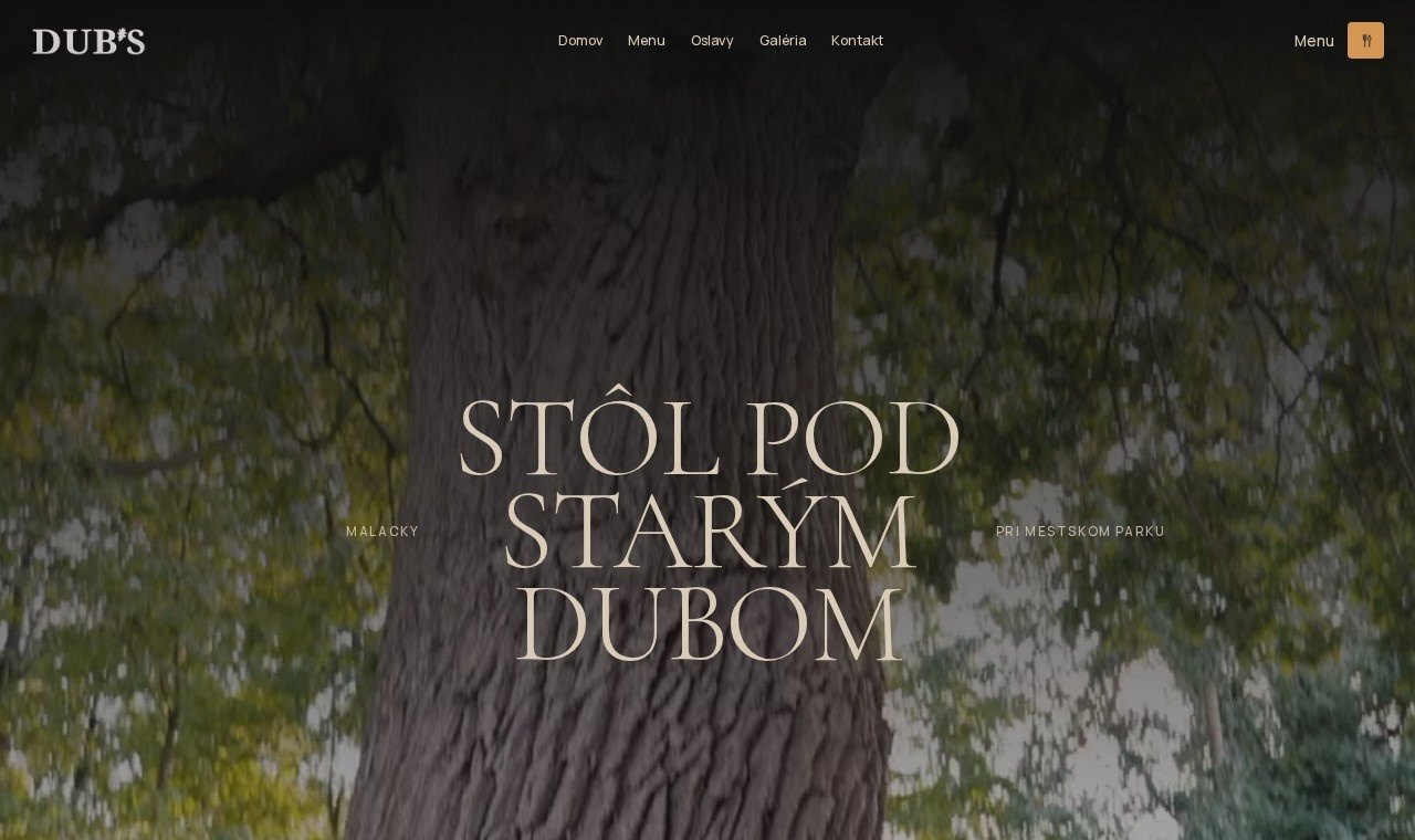Ukážka webu